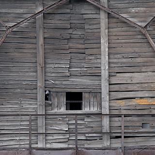 Photo Textures of Wood 